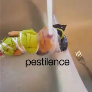 Meet your Posher, Jesse